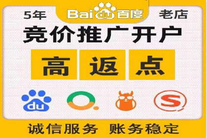 某某SEM公司助力企业快速发展的成功故事